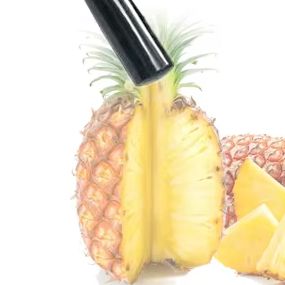 Household Pineapple Peeling Ma - Home Improvement Mall ulasan dan harga